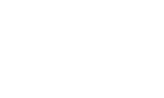 Logo Waldinei Filgueira